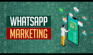 WhatsApp Marketing Course by Bada Business
