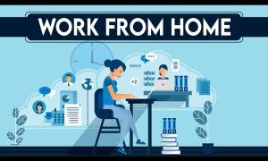 Work from Home Course by Bada Business