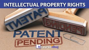 IPR Patent Course by Bada Business