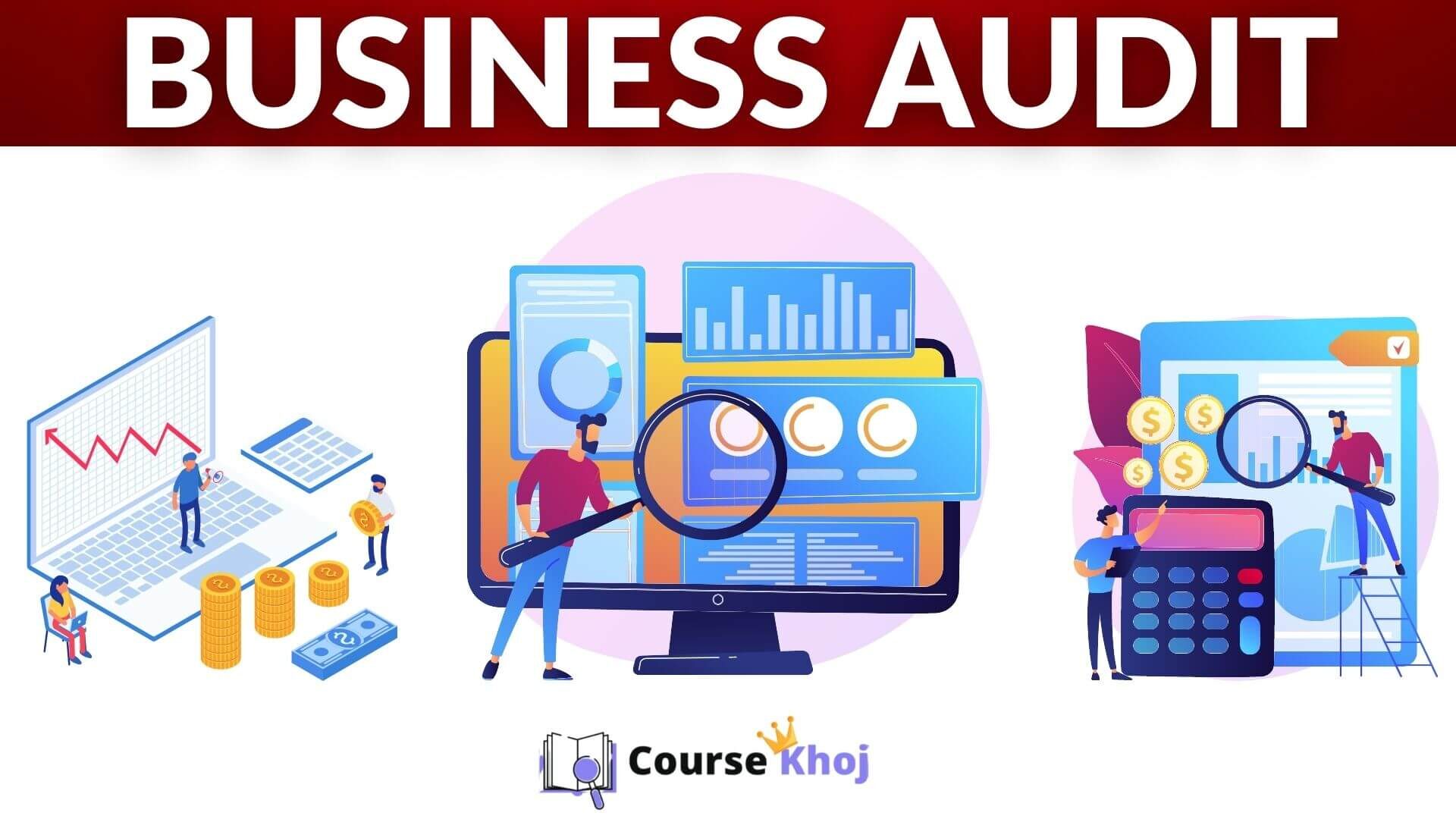 Business Audit